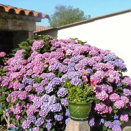 Apartamento Mas Le Chene *