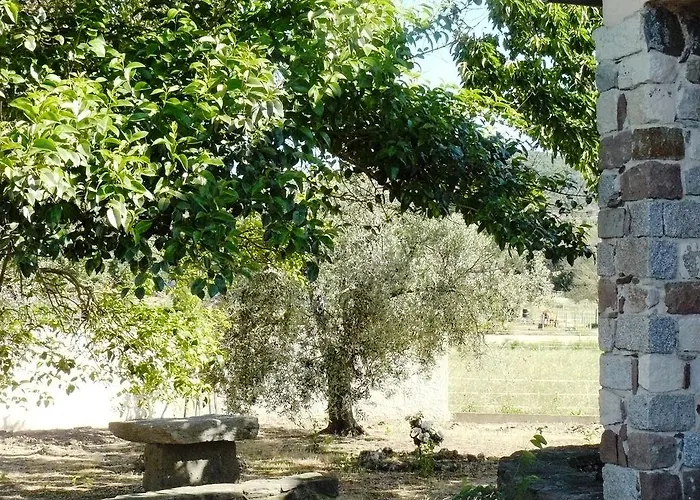 Mas Le Chene Grimaud